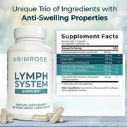 Lymphatic Support Supplements